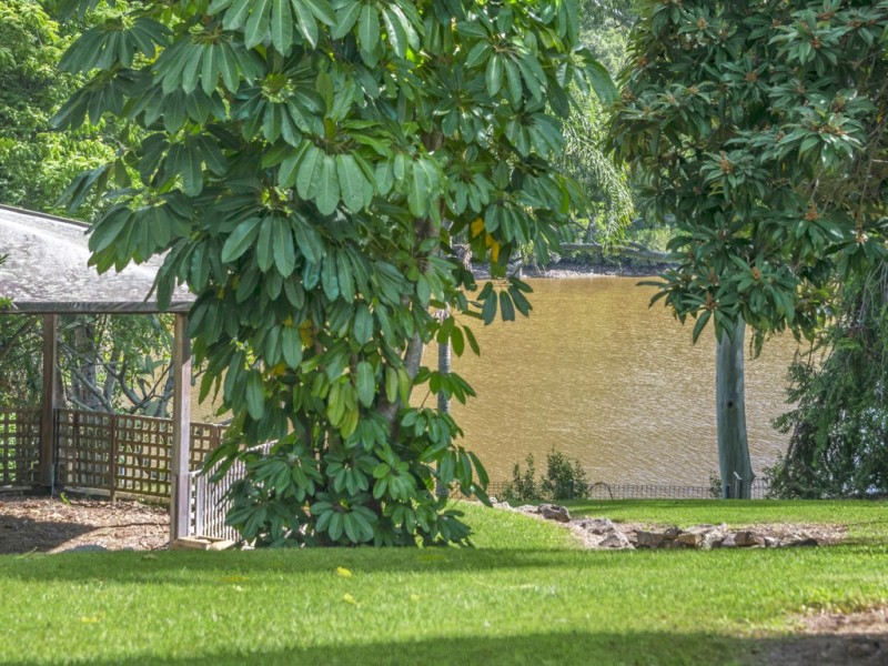 95 Bank Road, Graceville QLD 4075