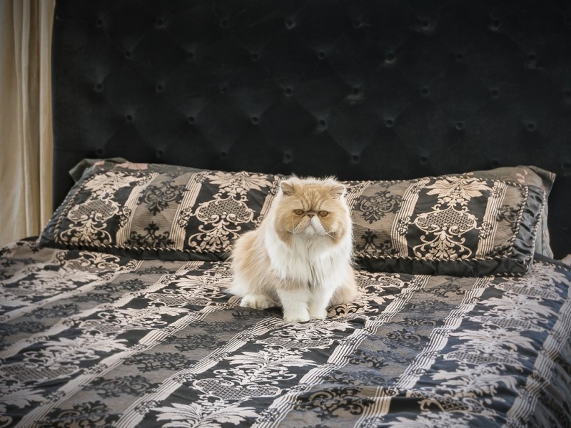 Infinity 37 Harbour Road, Hamilton QLD 4007