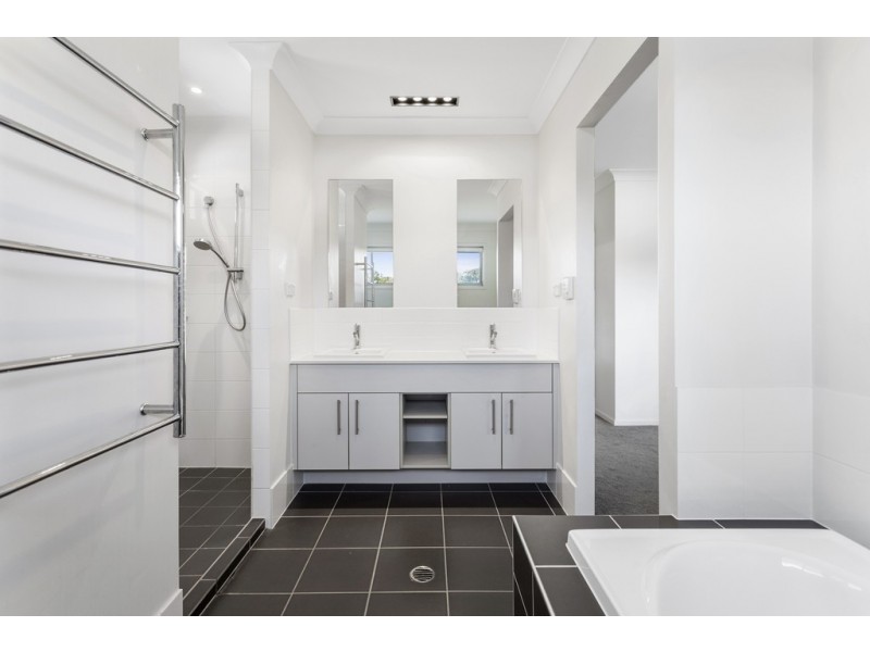 19 Gavan Street, Ashgrove QLD 4060