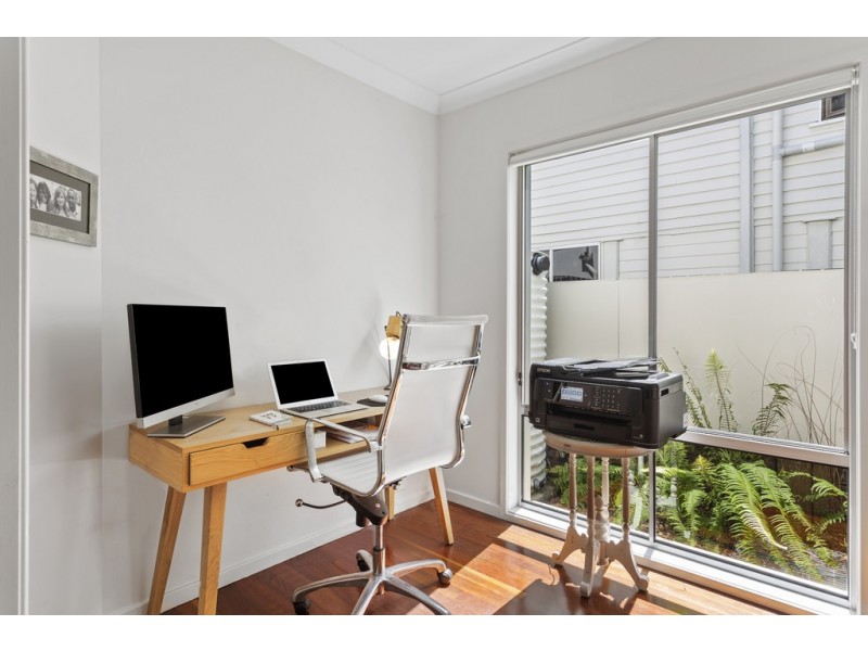 19 Gavan Street, Ashgrove QLD 4060