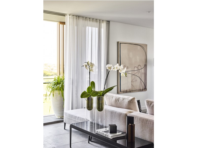 10803 “Ascot House” 240 Lancaster Road, Ascot QLD 4007