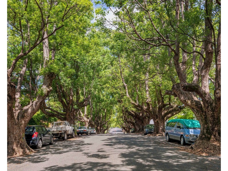 3/4 Abbott Street, New Farm QLD 4005