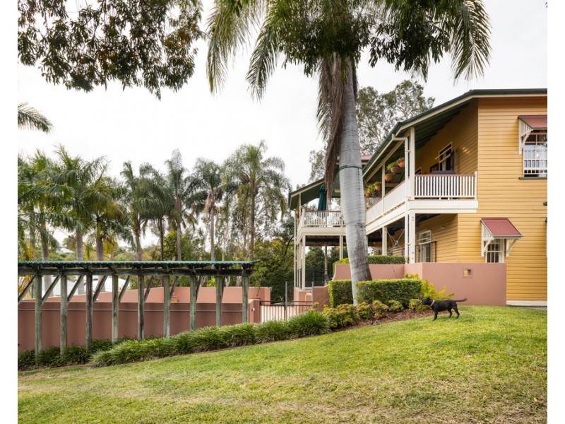 43 Markwell Street, Auchenflower QLD 4066