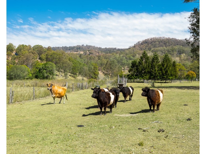 227 – 237 Hulcombe Road, Highvale QLD 4520