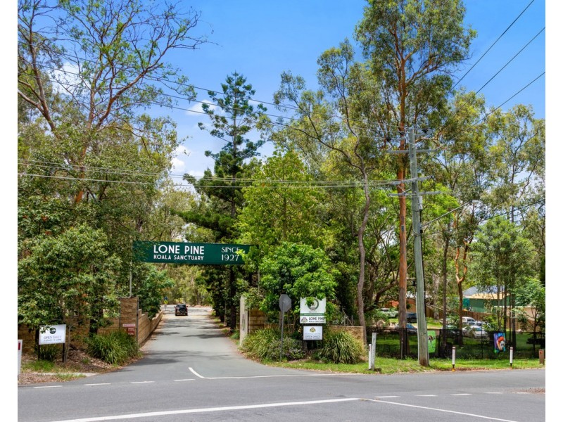 53 Robertson Place, Fig Tree Pocket QLD 4069