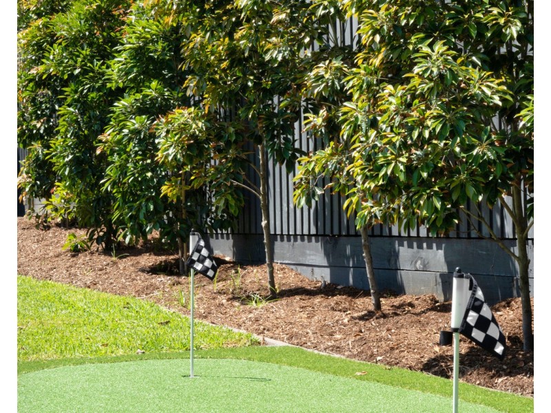 12 Blaikie Street, Hendra QLD 4011