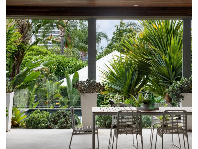 272 Harcourt Street, New Farm QLD 4005