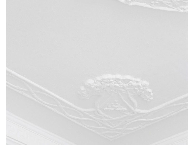 6/38 Elystan Road, New Farm QLD 4005