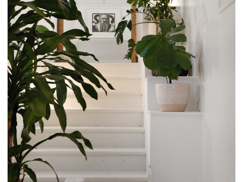 23 Plunkett Street, Paddington QLD 4064