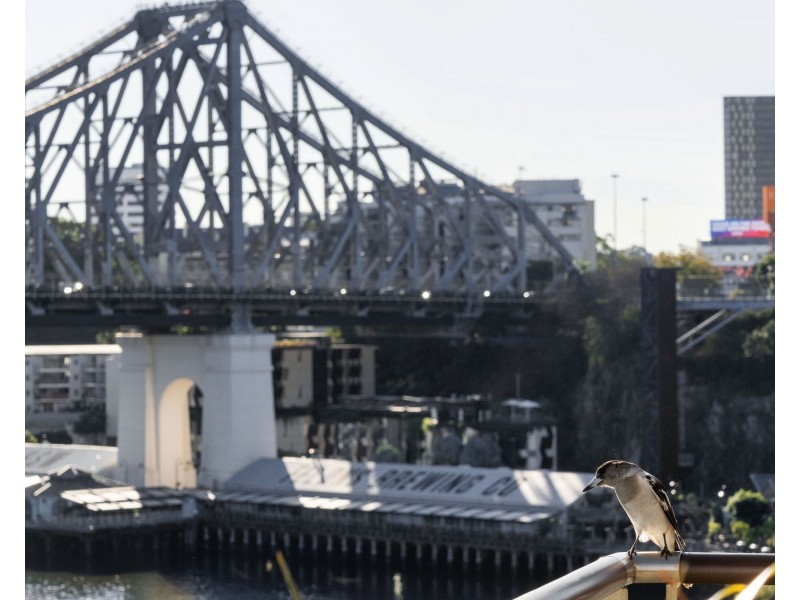 4/29 Moray Street, New Farm QLD 4005