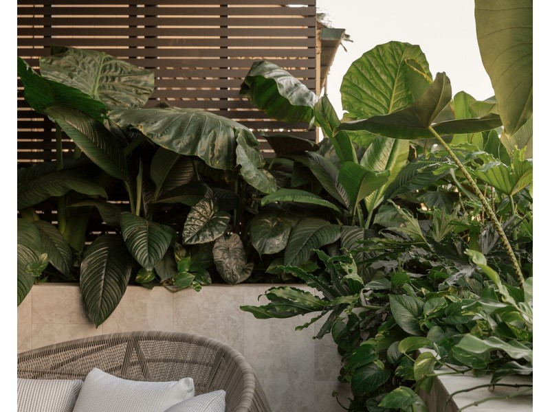 310 Harcourt Street, Teneriffe QLD 4005