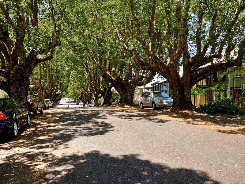 4/88 Moreton Street, New Farm QLD 4005