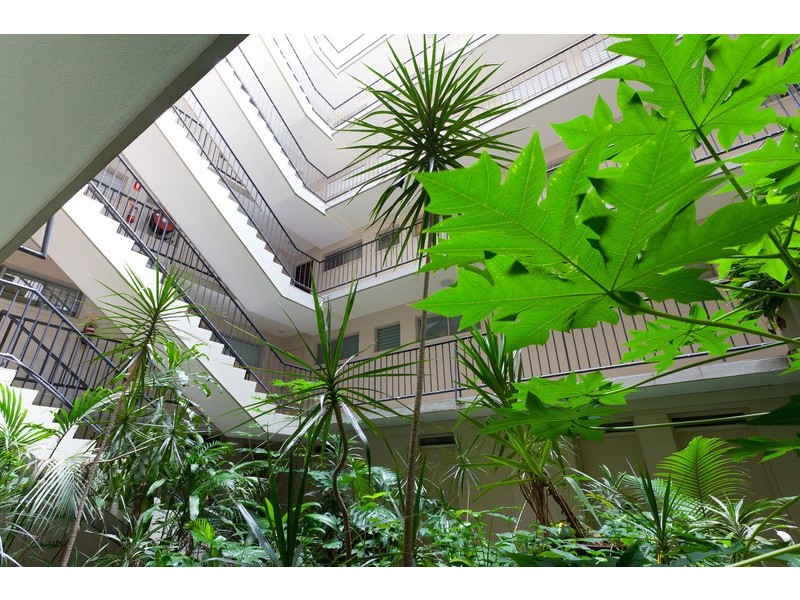 12/128 Oxlade Drive, New Farm QLD 4005