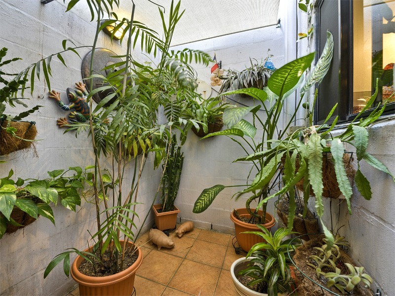 1/273 Boundary Street, Spring Hill QLD 4000