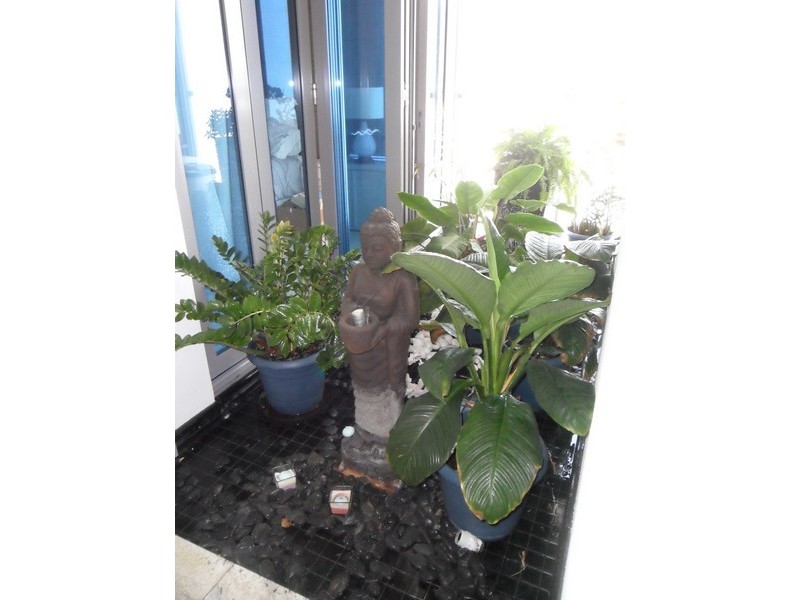 5/166 Oxlade Drive, New Farm QLD 4005