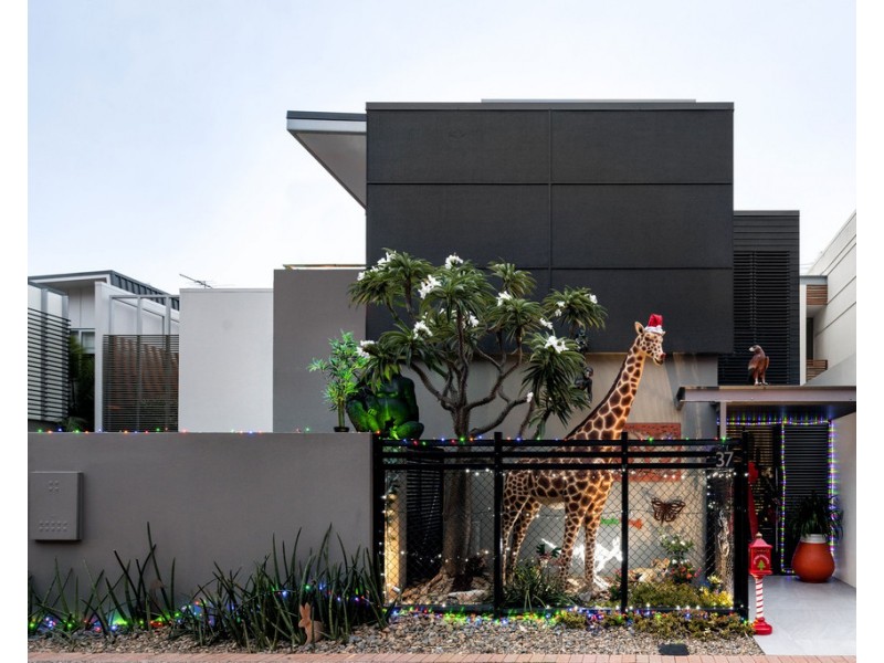 37 Macquarie Street, Teneriffe QLD 4005