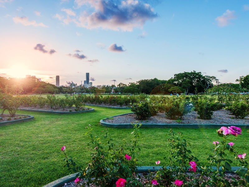 142 Sydney Street, New Farm QLD 4005