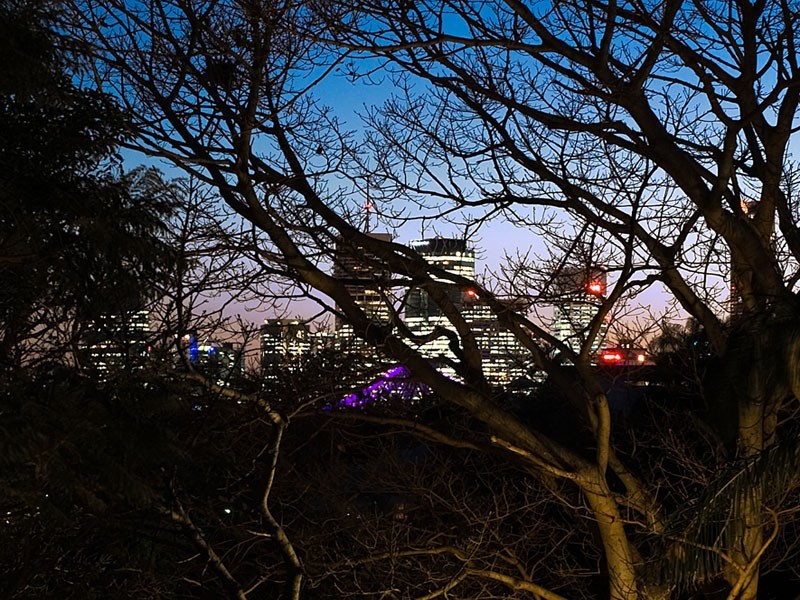 11 Mole Street, New Farm QLD 4005