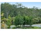 61 Emerald Crescent, Springfield QLD 4300