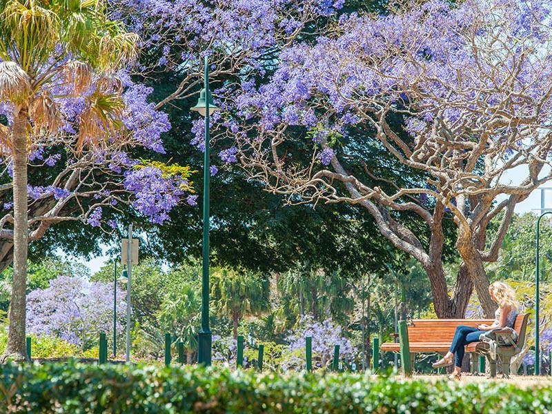 12/2 Oxlade Drive, New Farm QLD 4005