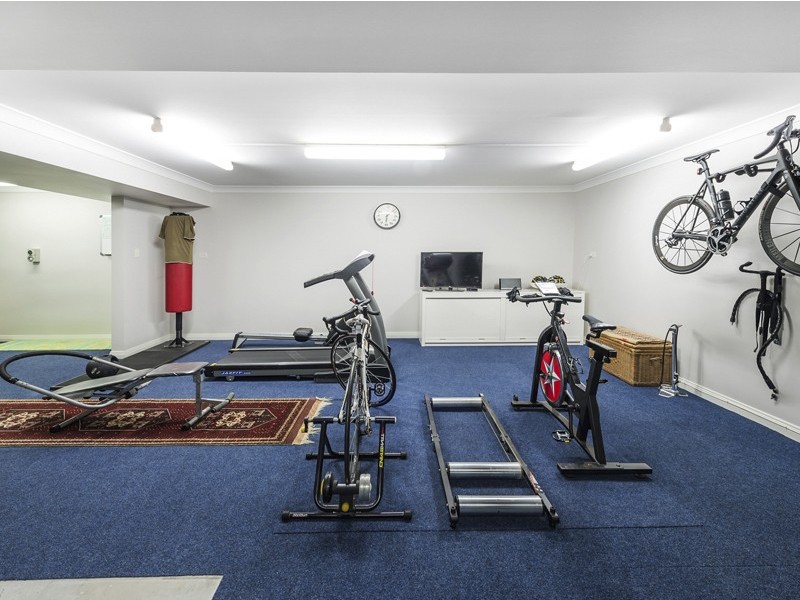 81 Markwell Street, Hamilton QLD 4007