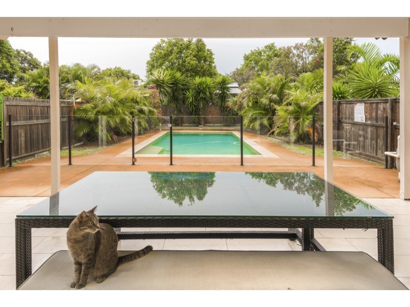 12 Long Street, Hendra QLD 4011