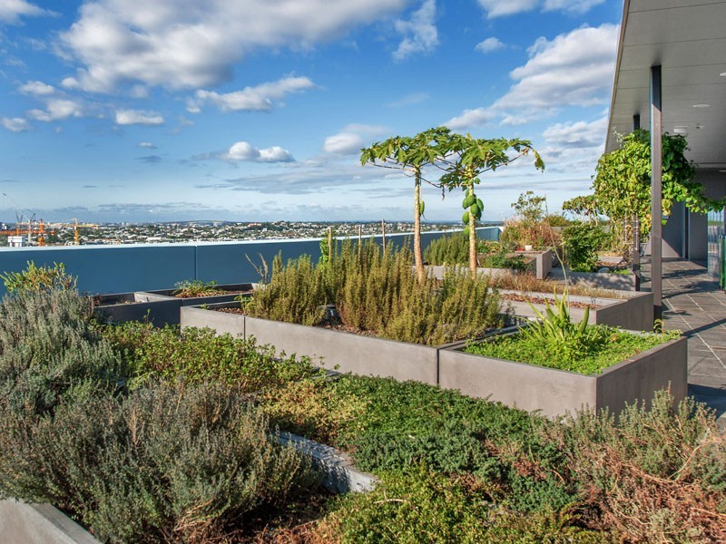 711/8 Church Street, Fortitude Valley QLD 4006