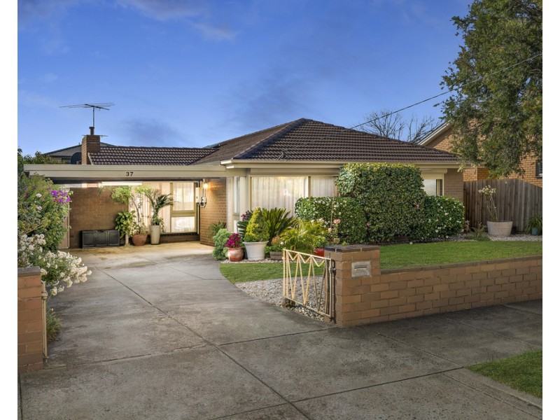 37 Argus St, Cheltenham VIC 3192