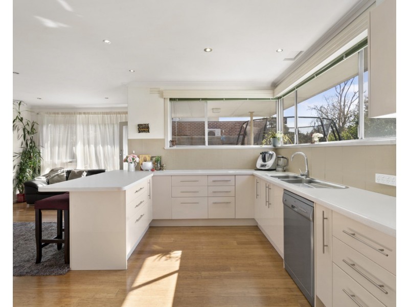 37 Argus St, Cheltenham VIC 3192