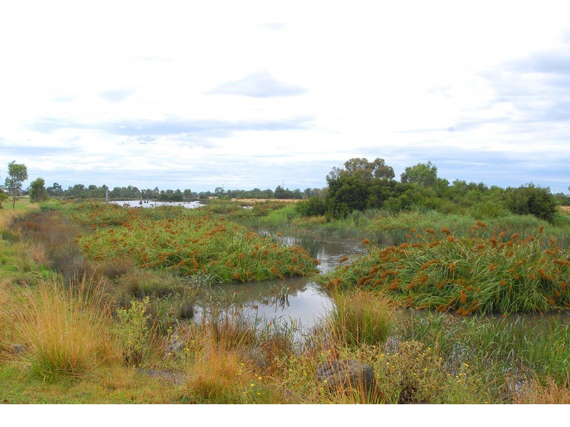 5 Observation Court, Waterways VIC 3195