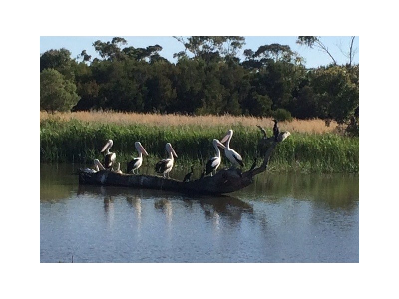 3 The Outlook, Waterways VIC 3195