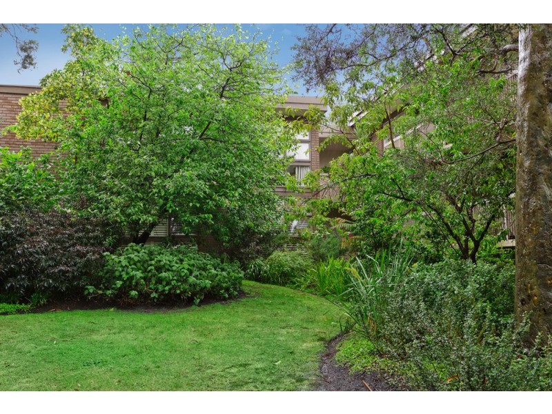 14/14 Lansell Road, Toorak VIC 3142