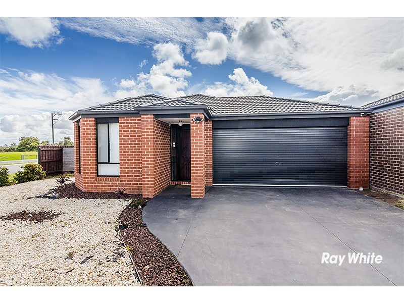 234 Evans Road, Cranbourne West VIC 3977