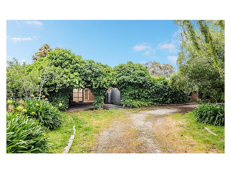 19 Collison Road, Cranbourne East VIC 3977