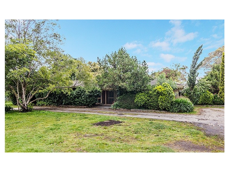 19 Collison Road, Cranbourne East VIC 3977
