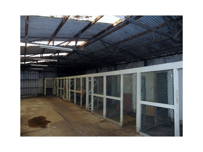 19 Collison Road, Cranbourne East VIC 3977