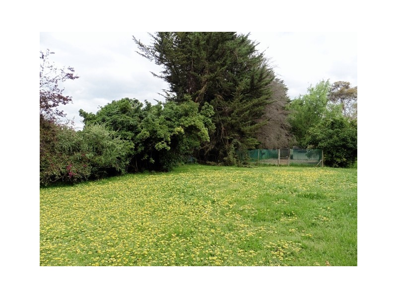 19 Collison Road, Cranbourne East VIC 3977