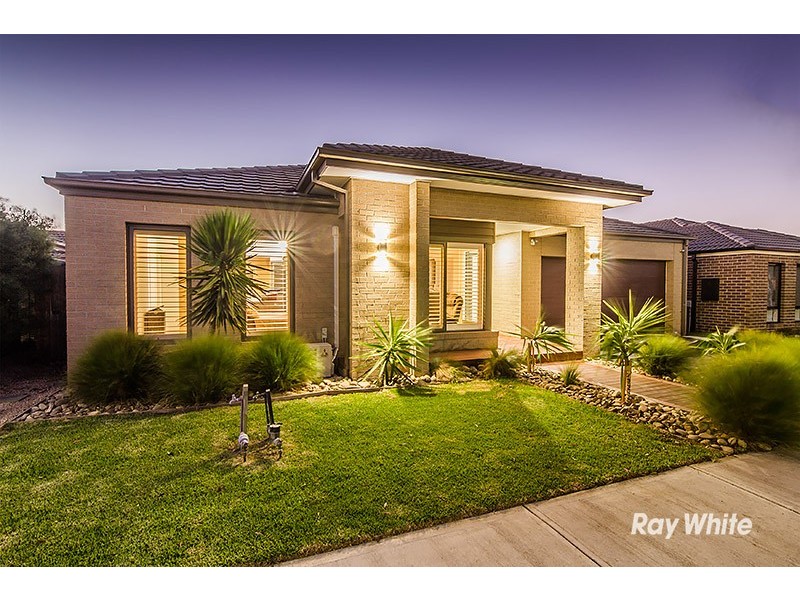 13 Rock Daisy Drive, Cranbourne West VIC 3977