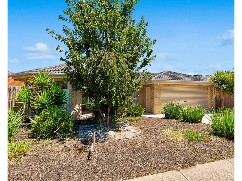 38 Vega Terrace, Cranbourne VIC 3977