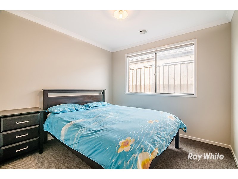 12 Guinea Flower Drive, Cranbourne West VIC 3977