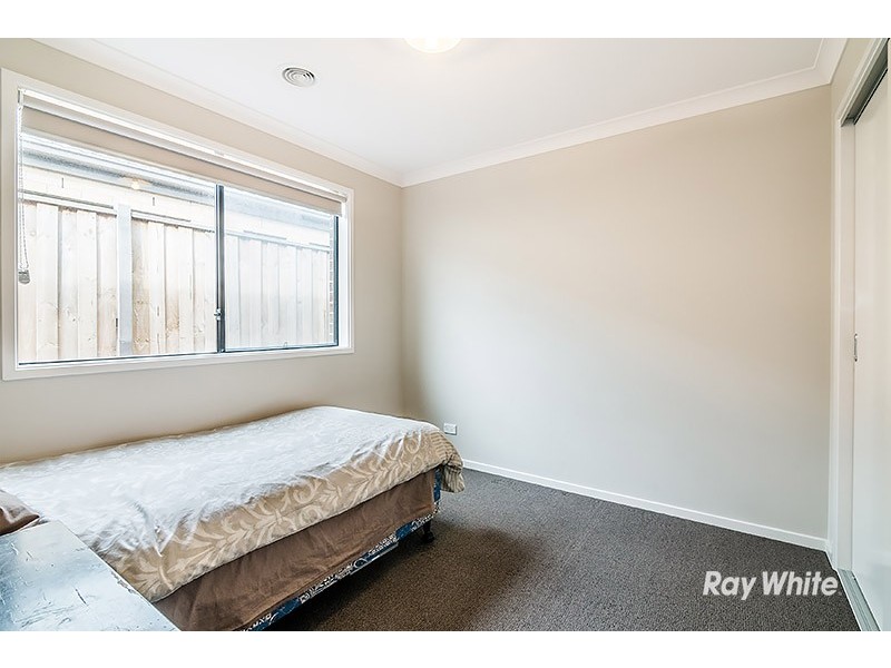 12 Guinea Flower Drive, Cranbourne West VIC 3977