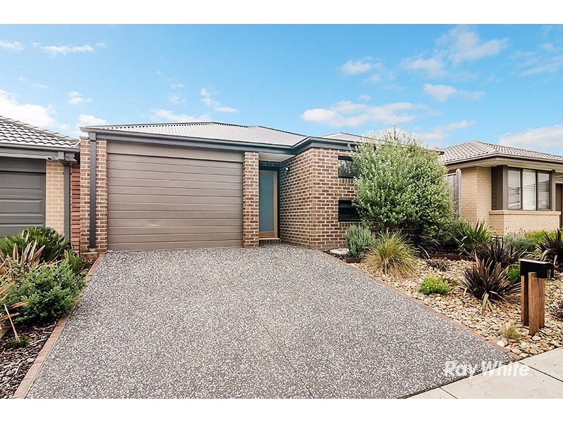 12 Guinea Flower Drive, Cranbourne West VIC 3977