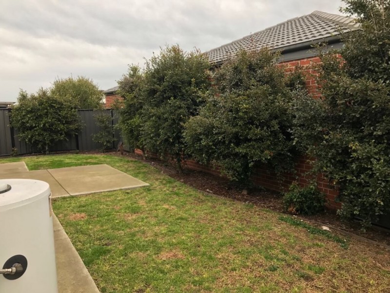 78 Selandra Boulevard, Clyde North VIC 3978