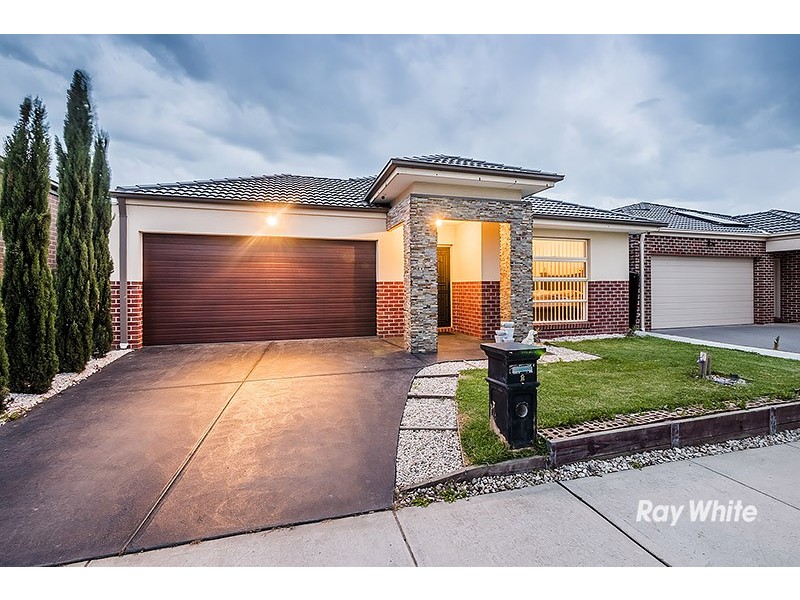 8 Hackney Circuit, Clyde North VIC 3978