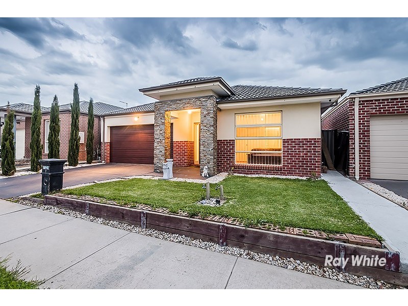8 Hackney Circuit, Clyde North VIC 3978