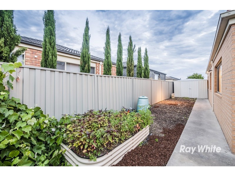 29 Bowyer Avenue, Cranbourne East VIC 3977