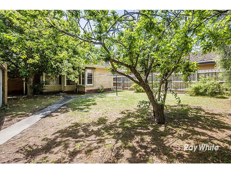 19 Katoomba Street, Hampton East VIC 3188