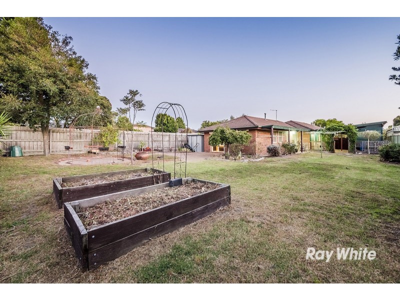 1 Walnut Court, Cranbourne North VIC 3977
