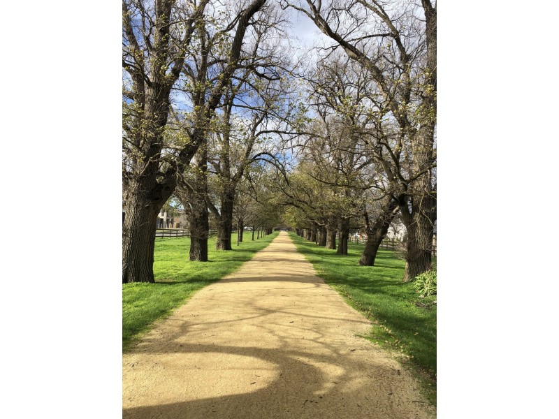 12 Tulliallan Boulevard, Cranbourne North VIC 3977