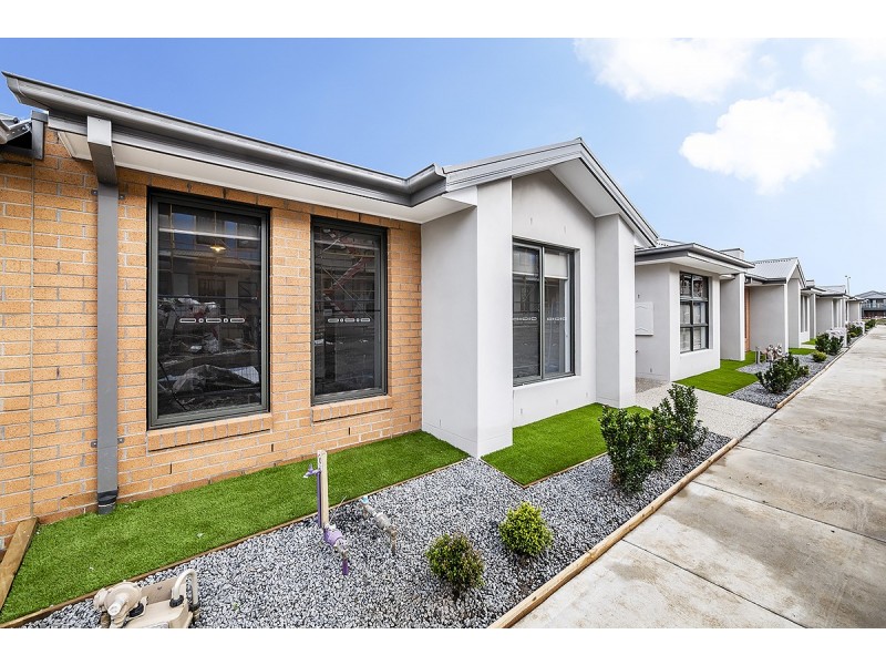 3 Supplejack Walk, Cranbourne North VIC 3977